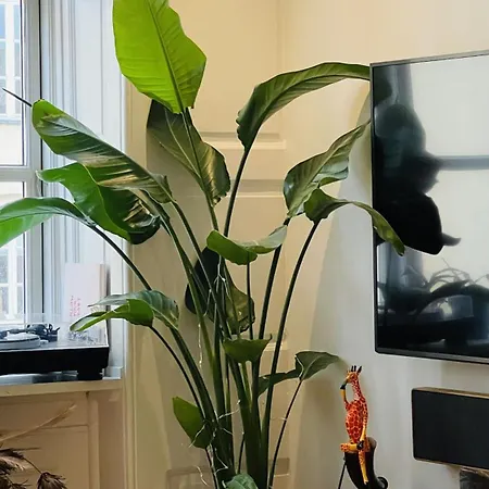 דירה Apartmentincopenhagen 1580