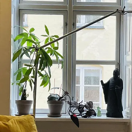 Apartmentincopenhagen 1580 דירה